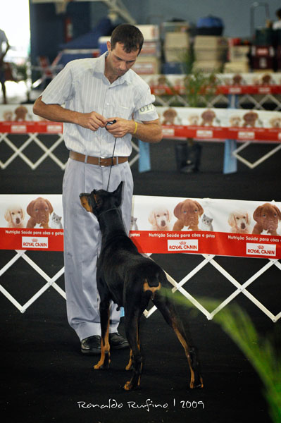 Clique sobre a foto para fechar